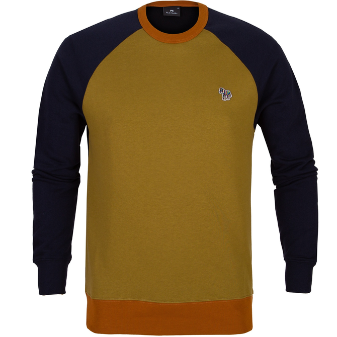 Two-Tone Raglan Sleeve Sweatshirt