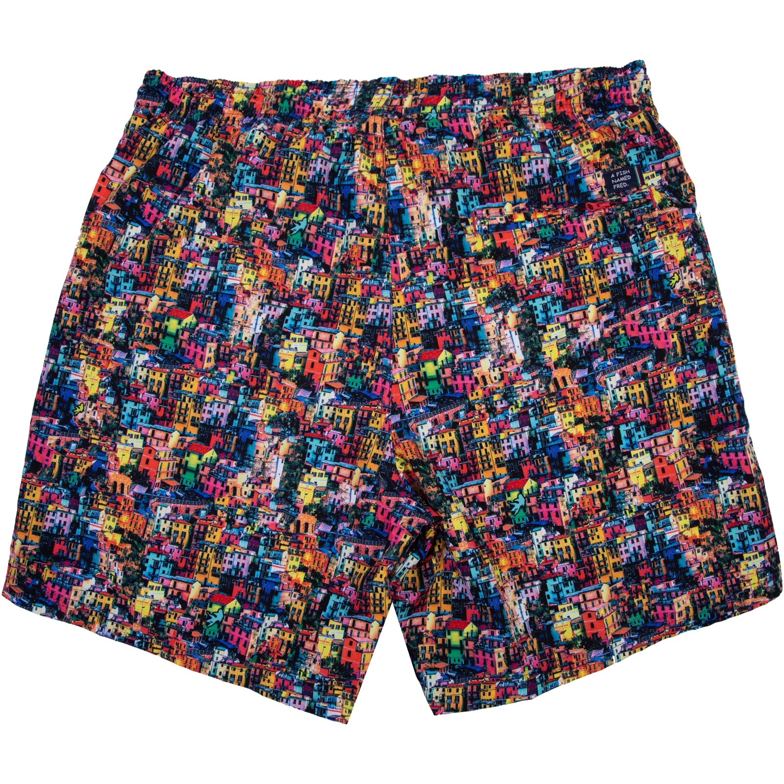 Cinque Terre Print Swim Shorts DESIGNERS A Fish Named Fred