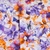 Treviso Abstract Floral Print Casual Cotton Shirt