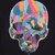 Organic Cotton Multi Skull Print T-Shirt