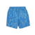 Island Stripe Swim Shorts