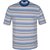 Regular Fit Multi Stripe Cotton T-Shirt