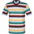 Organic Cotton Painted Stripe Print T-Shirt